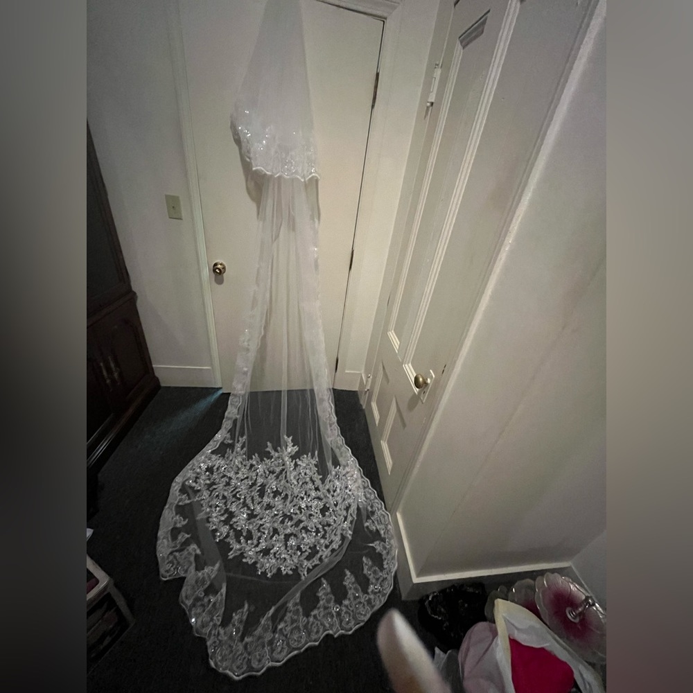 Bride veil